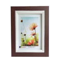 OEM picture frame 8"x10"