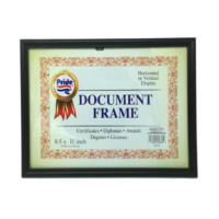 PLASTIC licence photo frame A4
